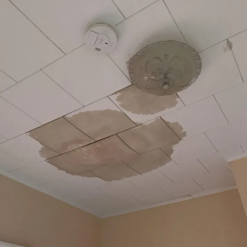 Ceiling Water Damage Repair in Bedford, NY