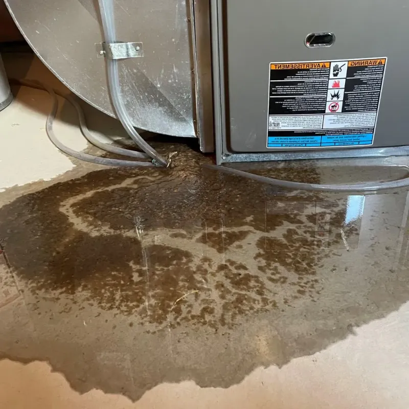 Pipe Burst and Leak Restoration in Bedford, NY